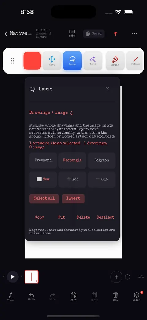 Lasso options with freehand, rectangle and polygon modes and selection actions